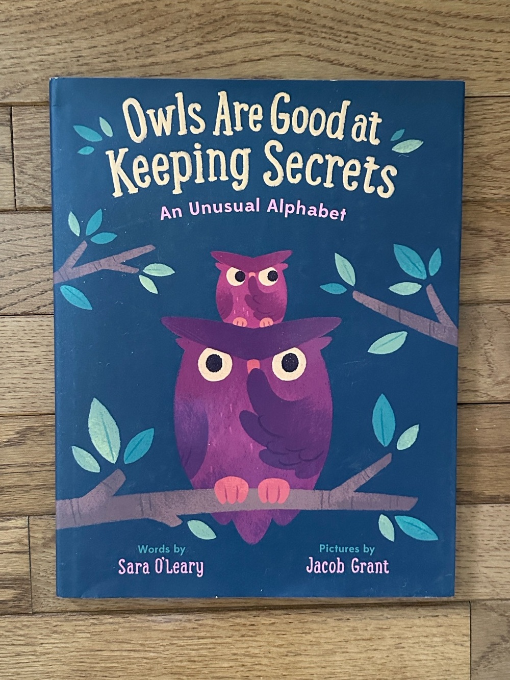 NEW owls Are Good at Keeping Secrets book Owl Picture Book kids book